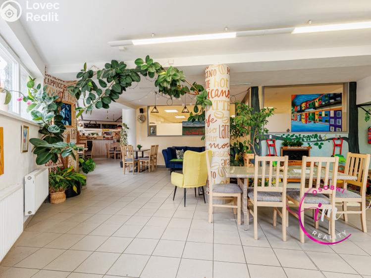 Prodej obchodního prostoru Jihlava, Buková č. 19