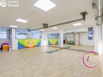 Prodej obchodního prostoru Jihlava, Buková č. 4