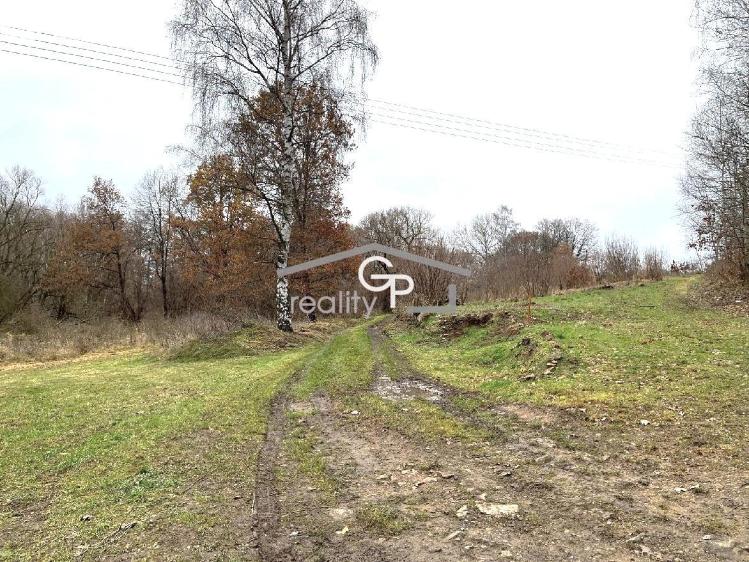 Prodej rodinného domu Hracholusky č. 24