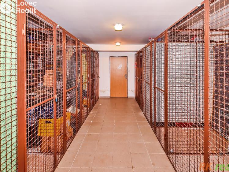 Pronájem bytu 3+KK Praha, Dobrovolného č. 9