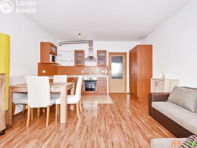 Pronájem bytu 3+KK Praha, Dobrovolného č. 3