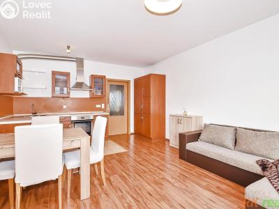 Pronájem bytu 3+KK Praha, Dobrovolného č. 4