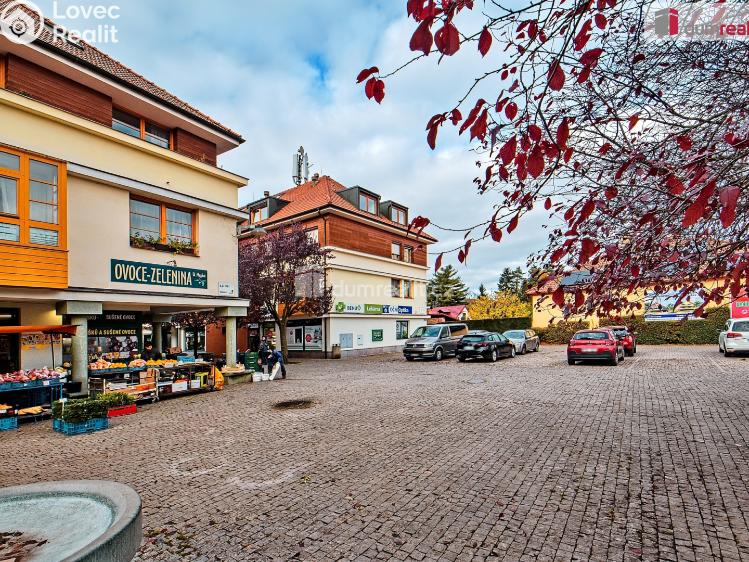 Pronájem bytu 1+KK Dobřichovice, Palackého č. 1