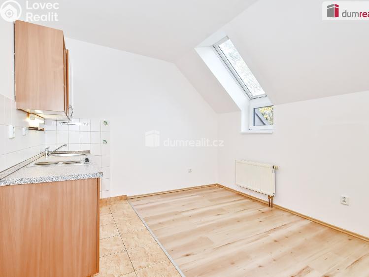 Pronájem bytu 1+KK Dobřichovice, Palackého č. 7