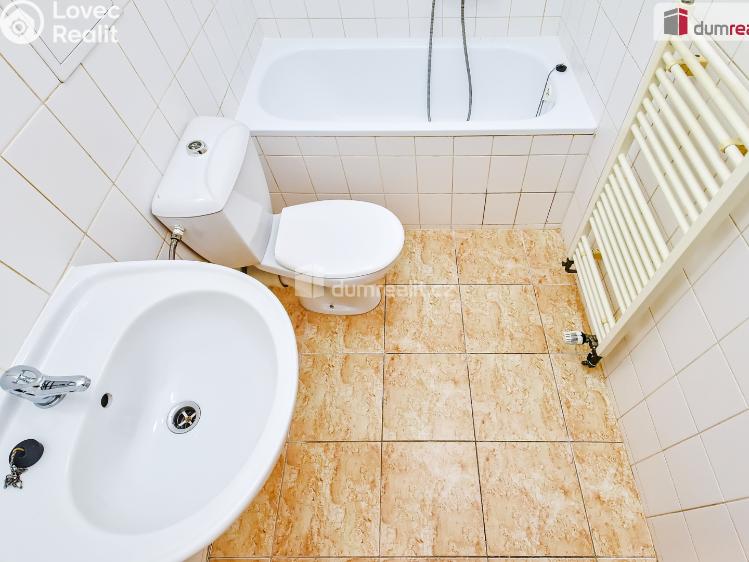 Pronájem bytu 1+KK Dobřichovice, Palackého č. 15