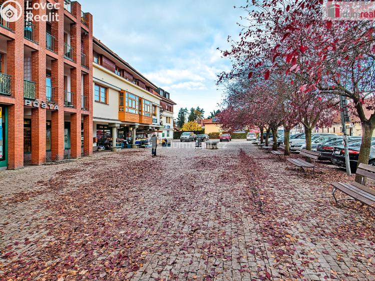 Pronájem bytu 1+KK Dobřichovice, Palackého č. 27