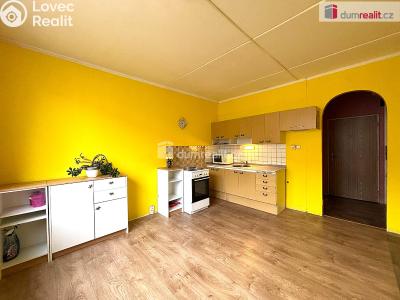 Pronájem bytu 1+1 Sokolov, Křížová č. 3