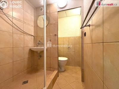 Pronájem bytu 1+1 Sokolov, Křížová č. 5