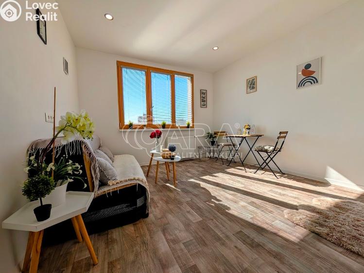 Prodej bytu 1+KK Plzeň, Šimerova 460/7 č. 12