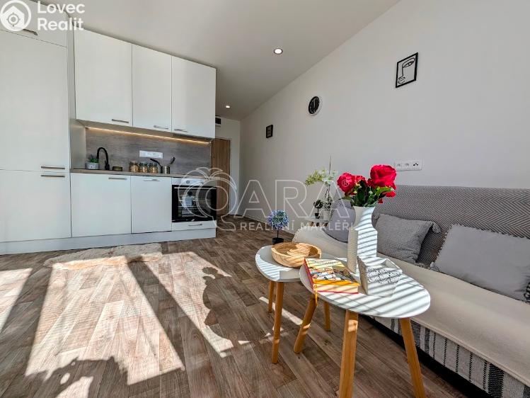 Prodej bytu 1+KK Plzeň, Šimerova 460/7 č. 16