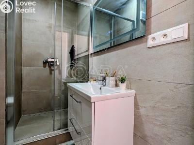 Prodej bytu 1+KK Plzeň, Šimerova č. 5