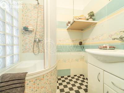 Prodej bytu 2+1 Kladno, Čechova 3150 č. 3