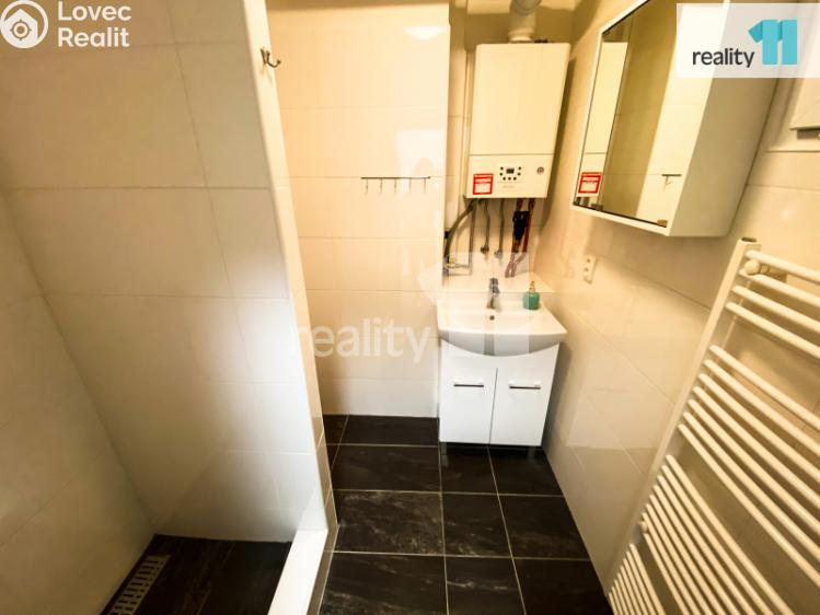 Pronájem bytu 2+1 Plzeň, Mohylová č. 9