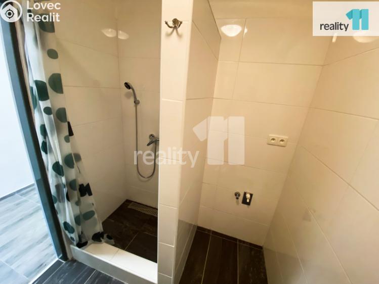 Pronájem bytu 2+1 Plzeň, Mohylová č. 17