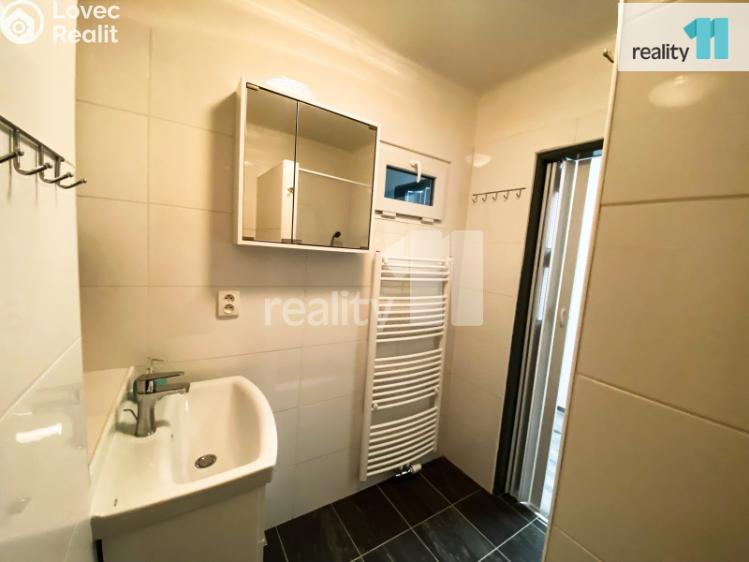 Pronájem bytu 2+1 Plzeň, Mohylová č. 18