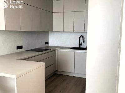 Pronájem bytu 2+KK Praha, U Zvonařky č. 4