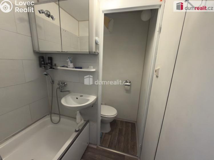 Pronájem bytu 1+1 Chlumec, Hrbovická č. 8