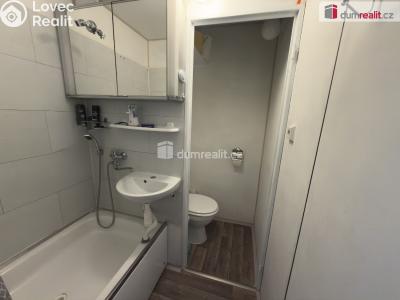 Pronájem bytu 1+1 Chlumec, Hrbovická č. 4