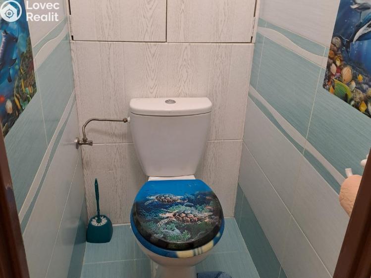 Pronájem bytu 3+1 Plumlov č. 9