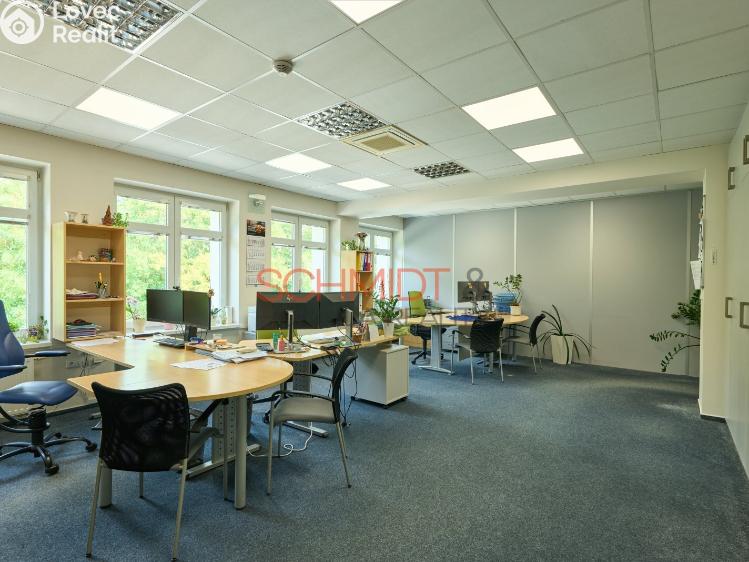 Pronájem kanceláře Hustopeče, Herbenova 869/42 č. 1