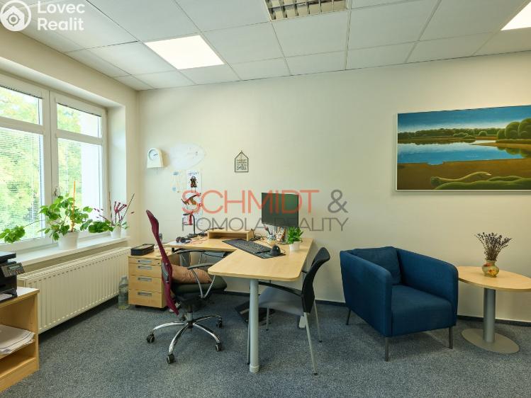Pronájem kanceláře Hustopeče, Herbenova 869/42 č. 2