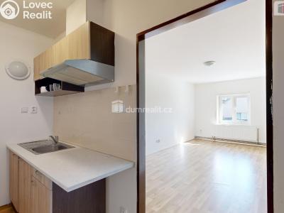 Pronájem bytu 1+1 Opava, Podvihovská č. 1