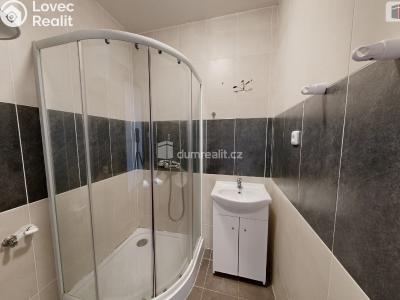 Pronájem bytu 1+1 Opava, Podvihovská č. 3