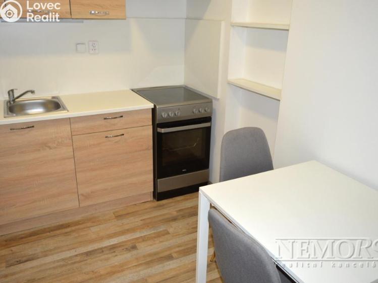 Pronájem bytu 1+KK Brno, Skorkovského č. 2