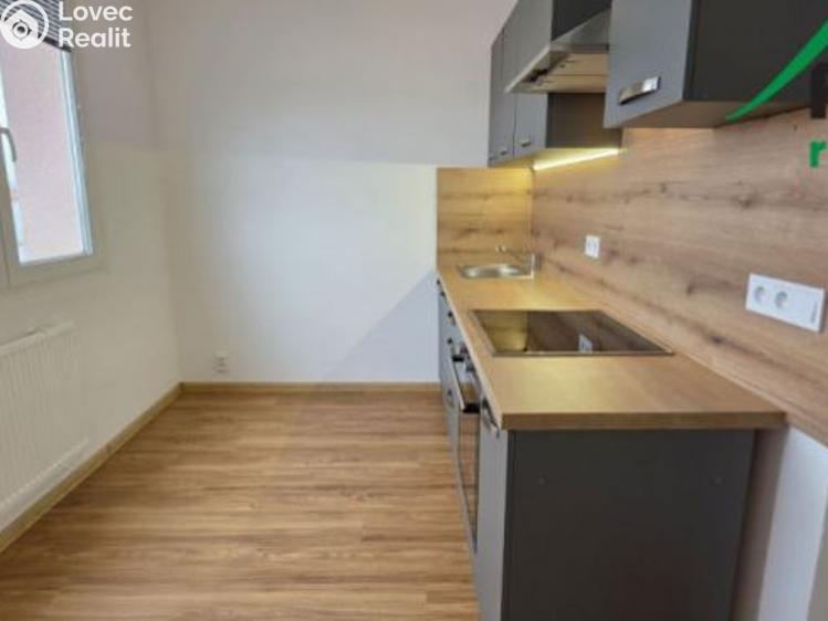 Pronájem bytu 3+1 Planá, Fučíkova č. 2