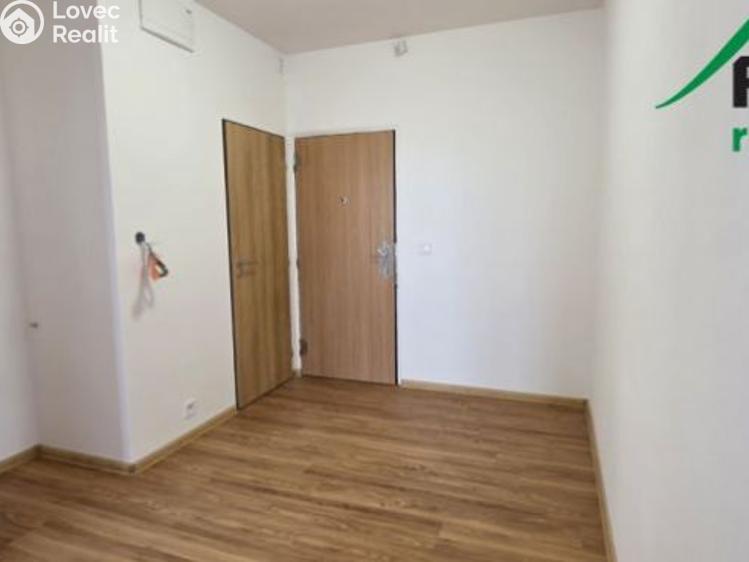 Pronájem bytu 3+1 Planá, Fučíkova č. 12