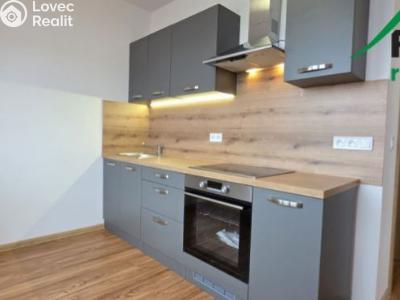 Оренда квартири 3+1 Planá, Fučíkova č. 1