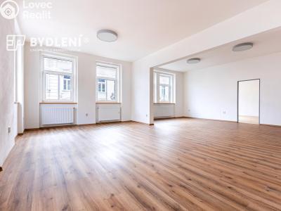 Pronájem bytu 3+KK Teplice, Školní č. 1