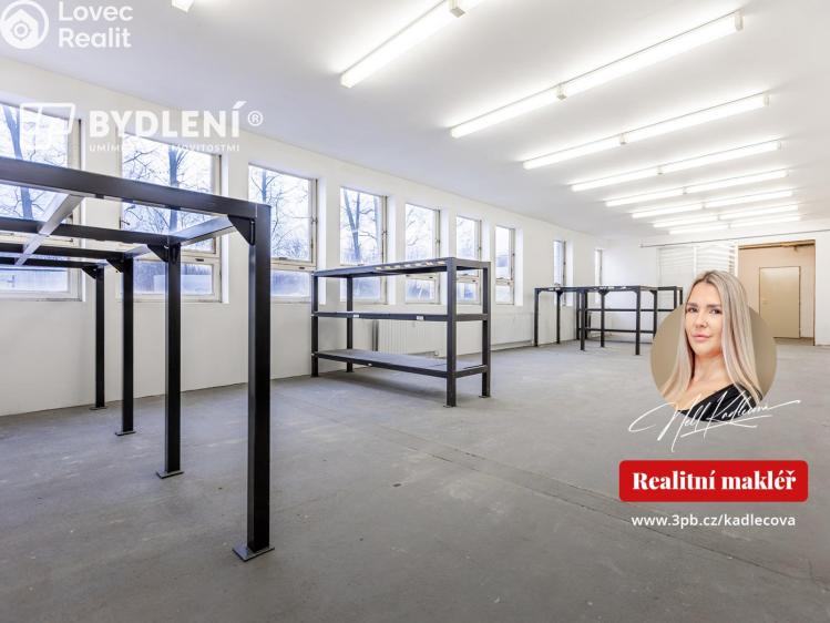 Rent office space Teplice, Tolstého 451 č. 33