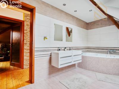 Продаж сімейного будинку Velemín č. 18
