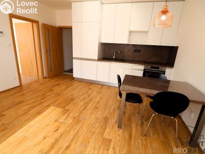 Оренда квартири 3+KK Brno, Novodvorská č. 4