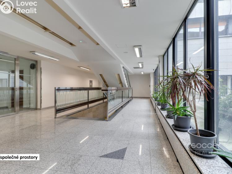 Rent office space Praha, Sokolovská č. 8