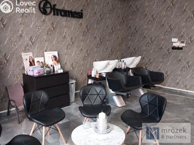 Rent commercial space Český Těšín, Odboje č. 6