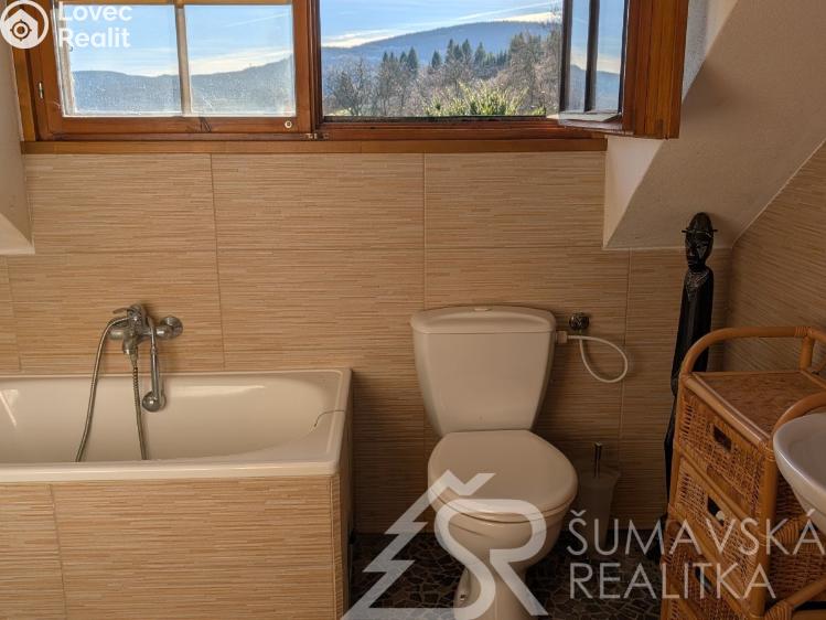 Продаж сімейного будинку Nezdice na Šumavě č. 29