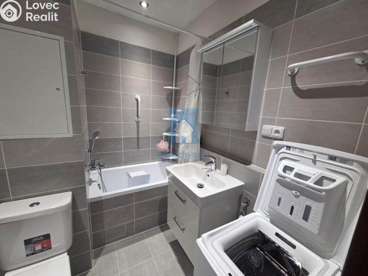 Pronájem bytu 1+1 Plzeň, Šimerova č. 9