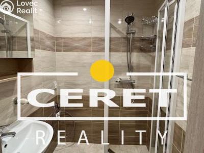 Pronájem bytu 3+1 Žatec, Lípová č. 3