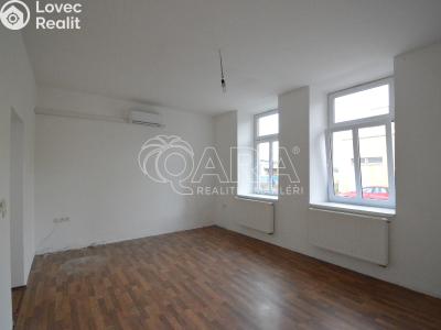 Rent apartment 1+1 Nová Bystřice, Vídeňská 383 č. 1