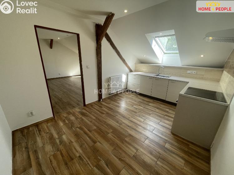 Pronájem bytu 1+1 Lochovice č. 2