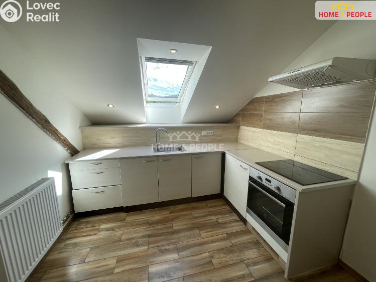 Pronájem bytu 1+1 Lochovice č. 3