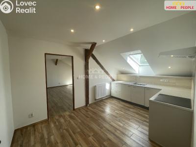 Pronájem bytu 1+1 Lochovice č. 5