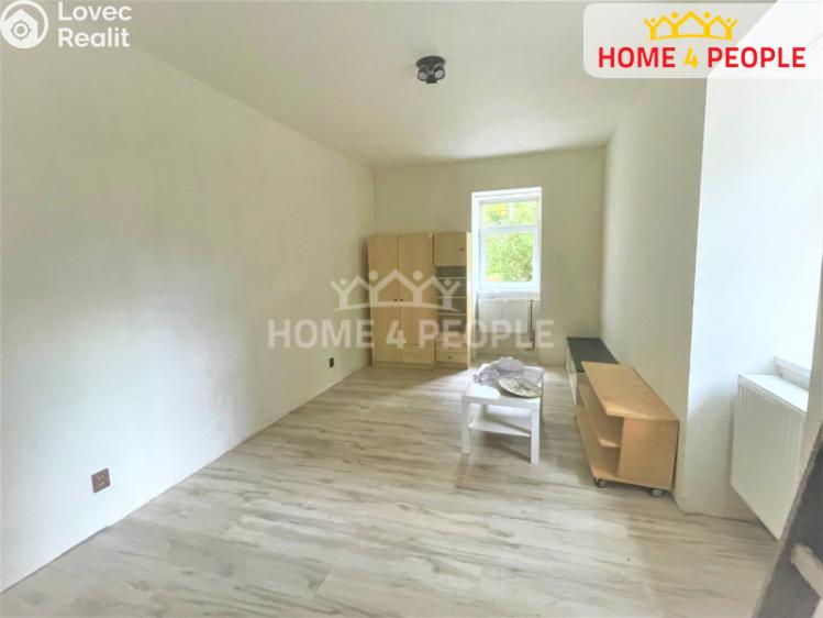 Pronájem bytu 1+1 Lochovice č. 2