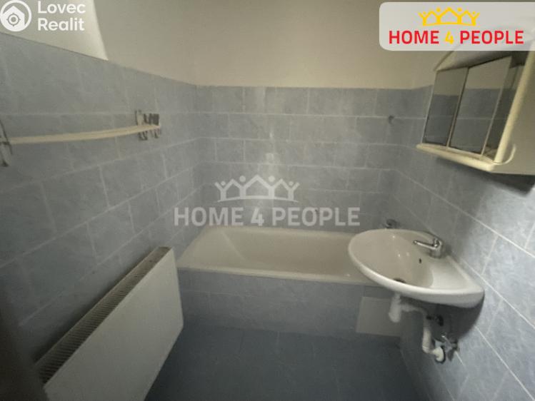 Pronájem bytu 1+1 Lochovice č. 4