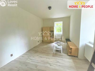 Pronájem bytu 1+1 Lochovice č. 2