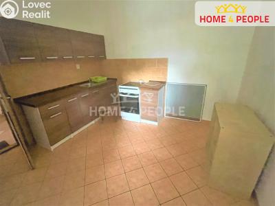 Pronájem bytu 1+1 Lochovice č. 3