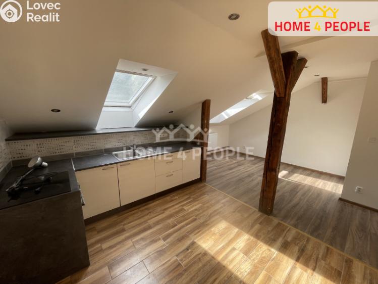 Pronájem bytu 1+KK Lochovice č. 7