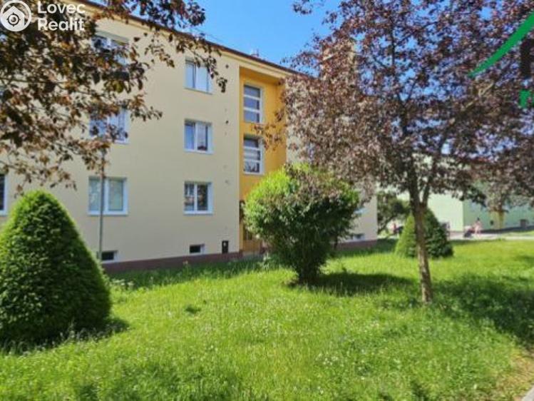 Rent apartment 2+1 Chodová Planá, sídliště Lučina č. 2